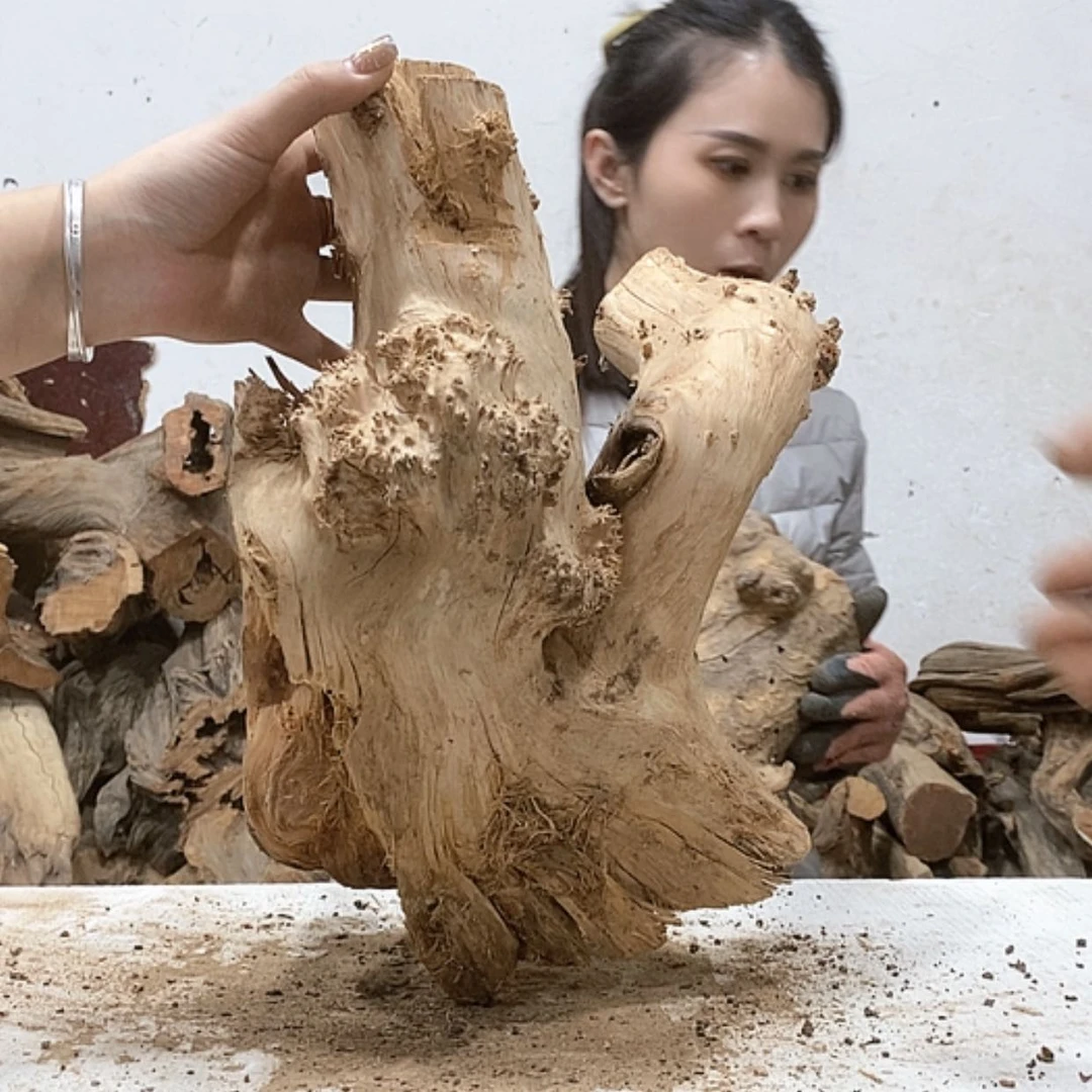 【闪购商品】柏木?****࿐我们都是好孩子