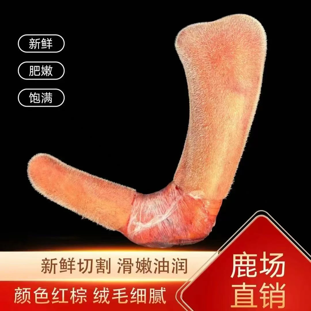 产地鲜鹿茸整支 鹿茸直播间自选