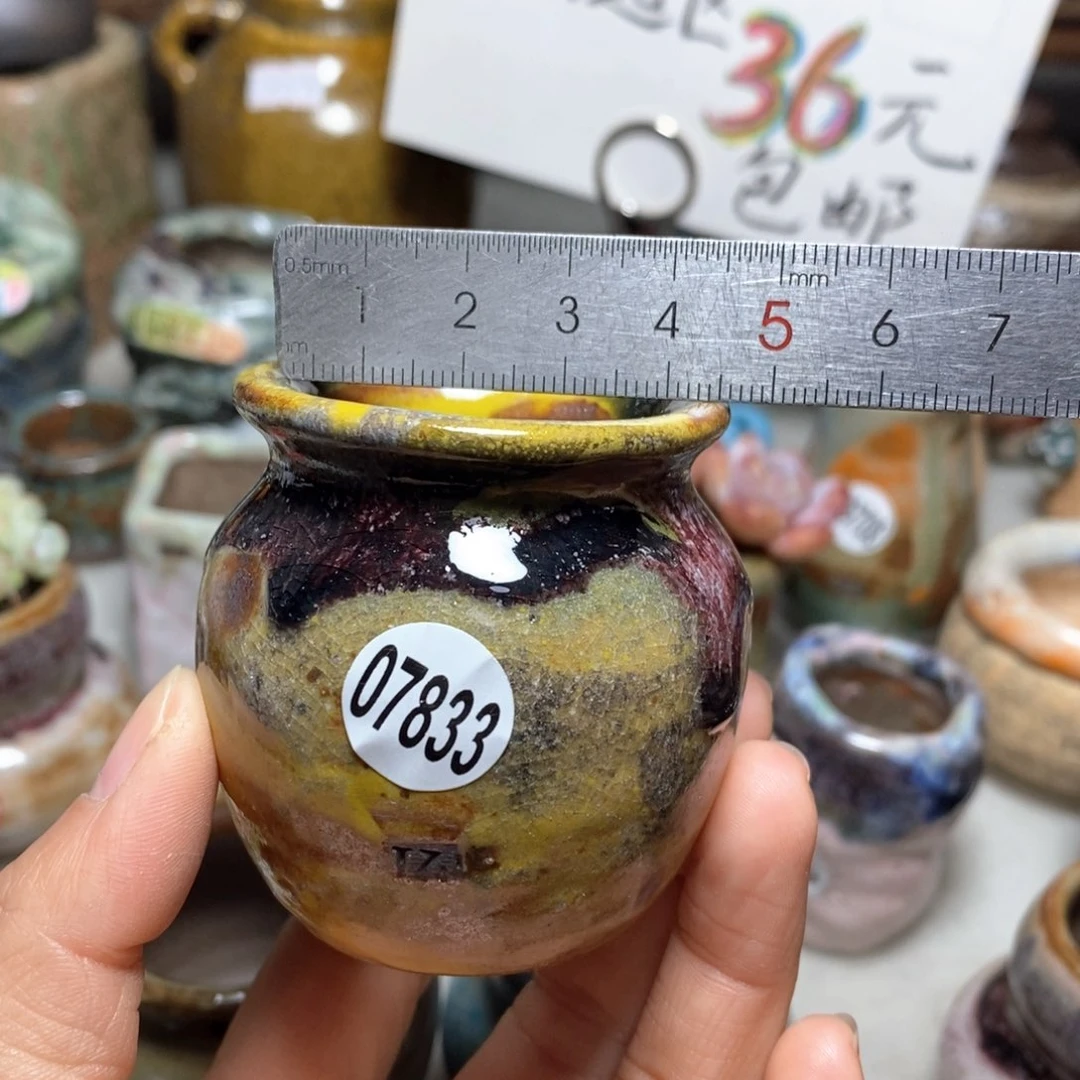 花盆拍5送一个小礼物