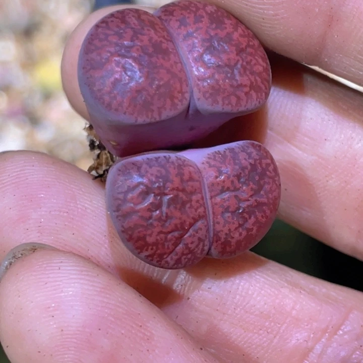 绘***绘5878880888888888888888888