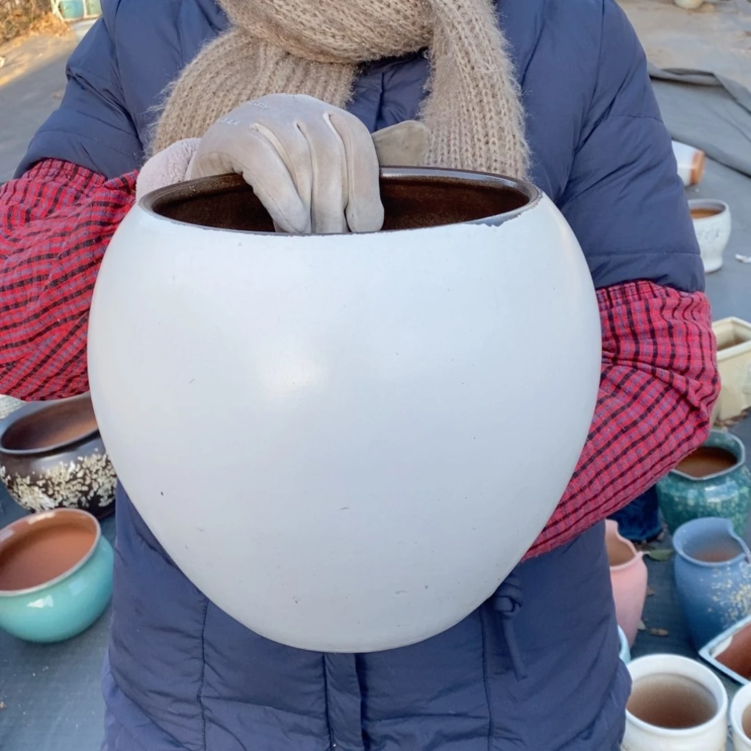 红陶口20高22～～～