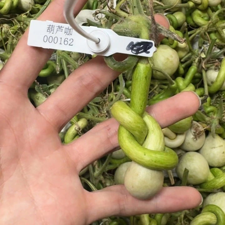 0**%哈哈哈哈哈哈哈哈哈