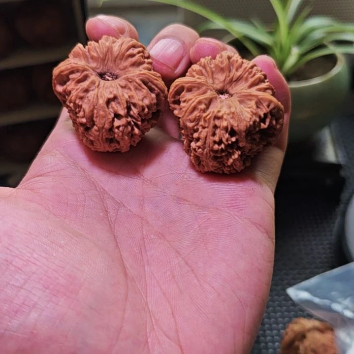 文玩核桃把件凹底南疆