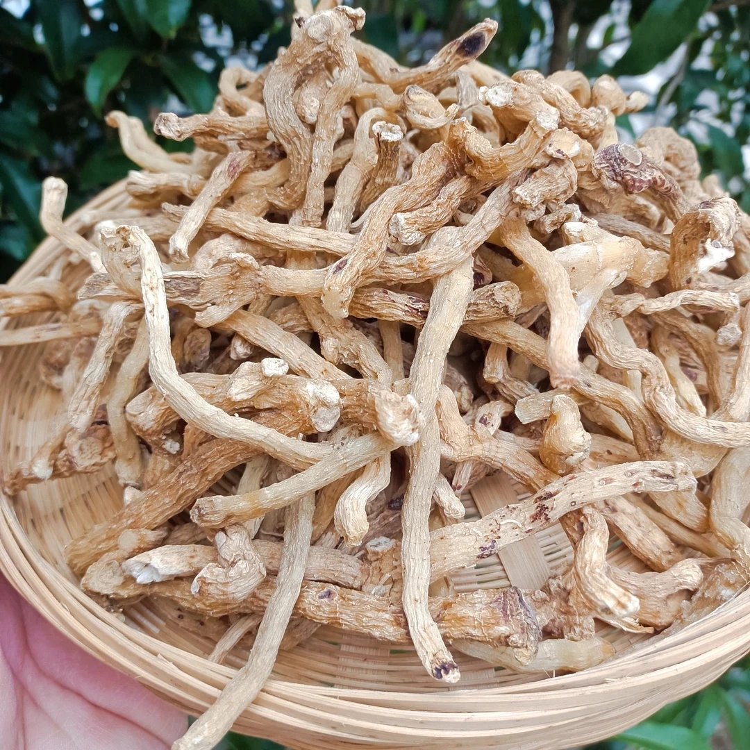 【玉竹】贵州山货玉竹