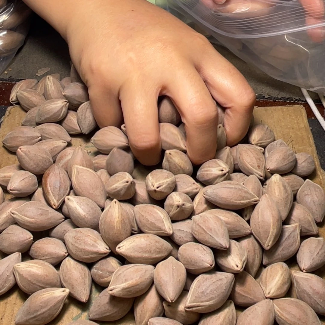 张***收橄榄核手串/手链不退不换