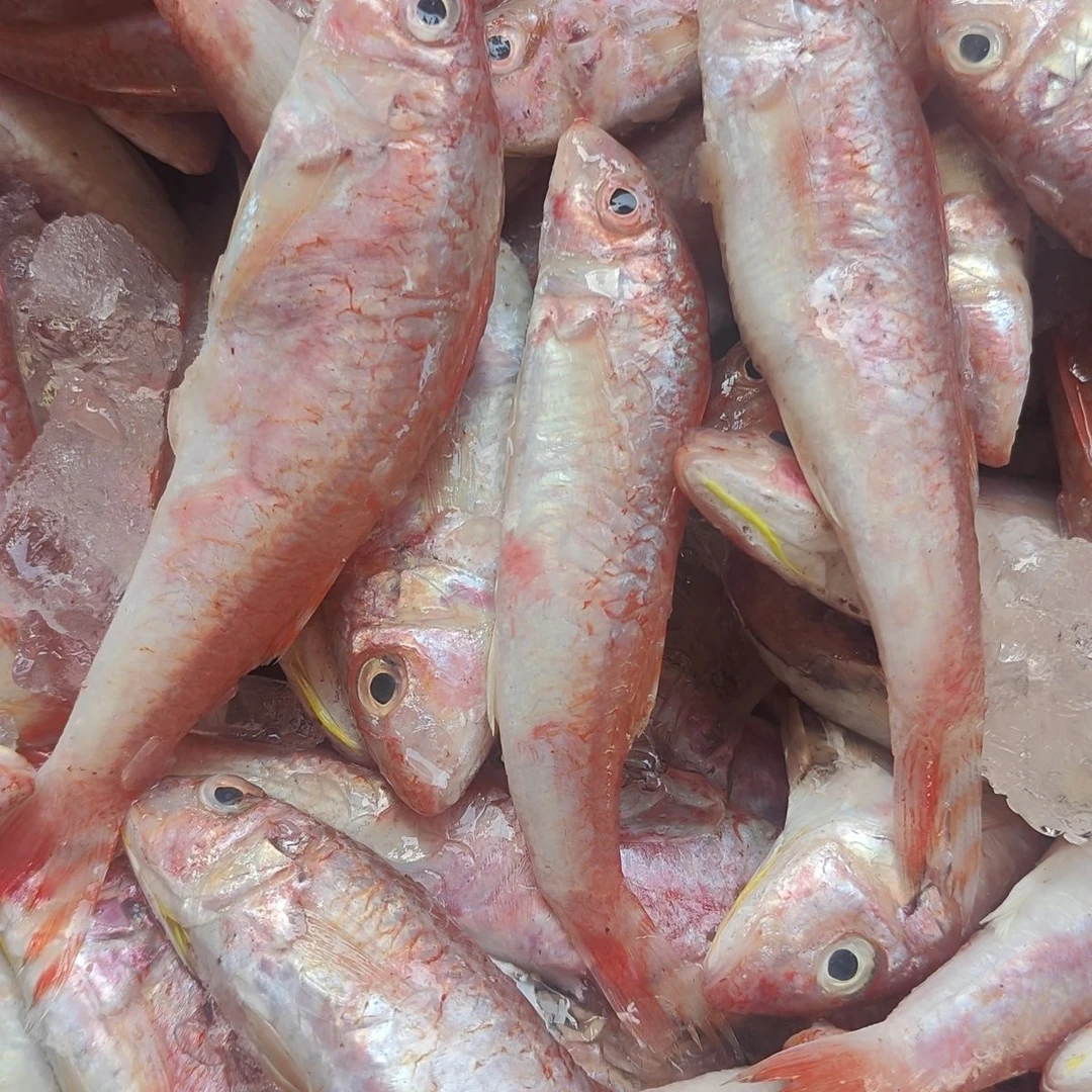 惠来神前浅脚红鱼仔正红鱼新鲜速冻5盒顺丰包邮
