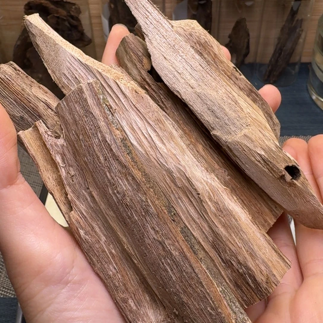 木海南大山虫漏100克