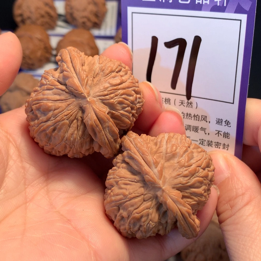 把件文玩核桃171白狮子4.3