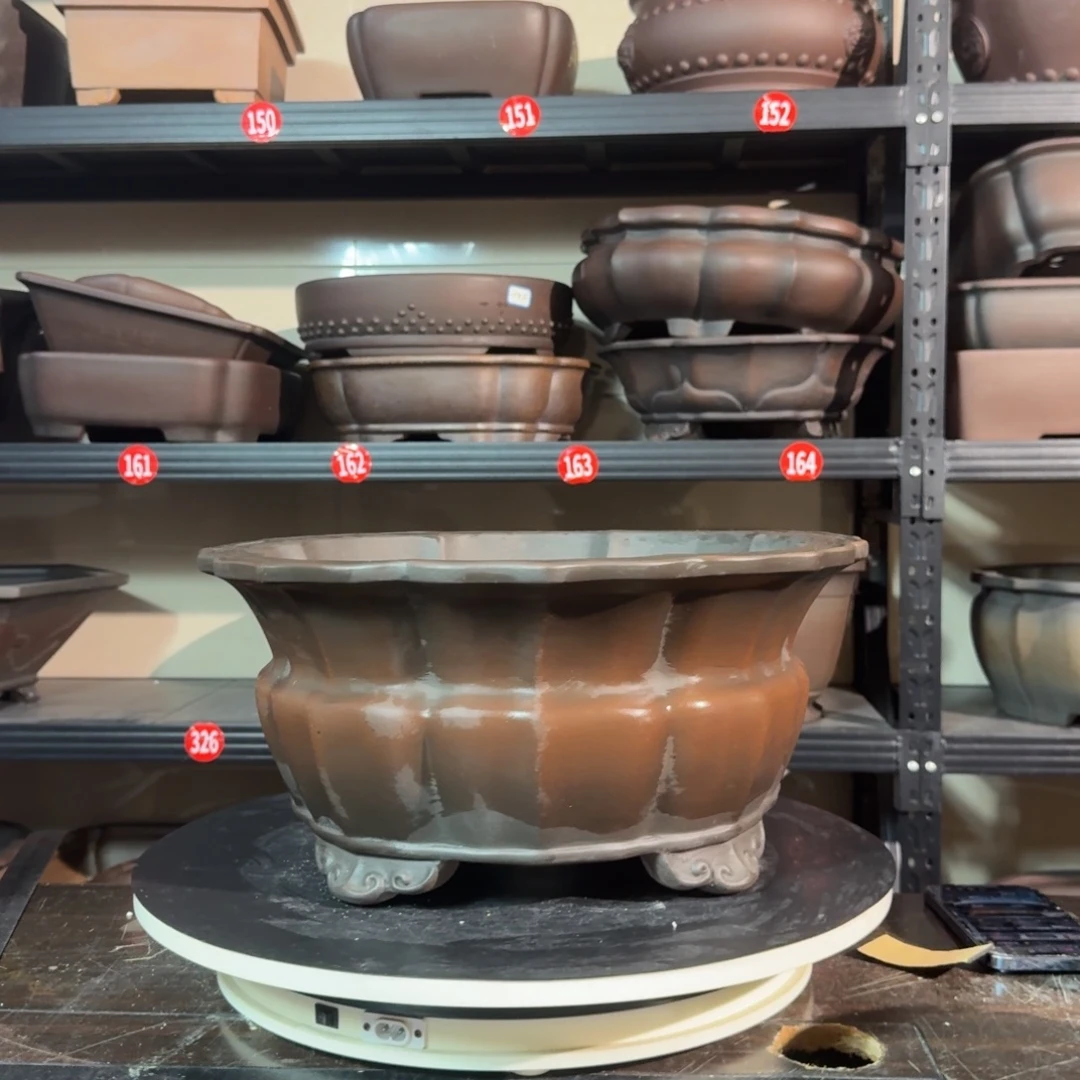 呜呜呜我的宝紫砂喔喔哦喔我来