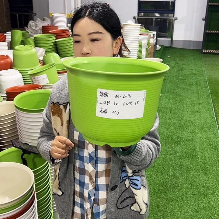 正品矮陶口30高22白色5只无托