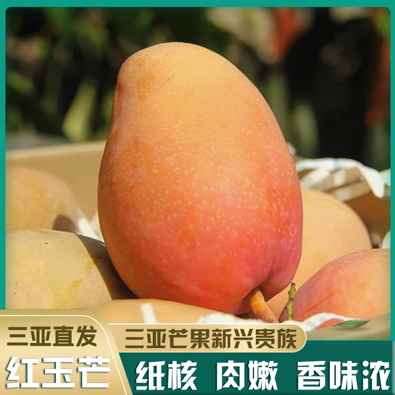 【送货上门】红玉文芒果海南爱文芒产地直发新鲜水果