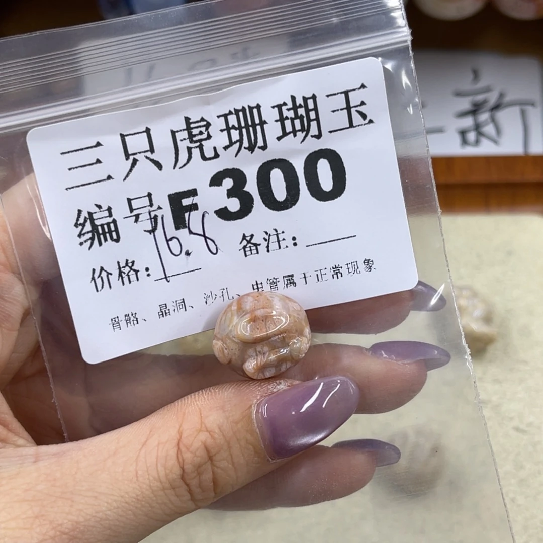 飘***玲未镶嵌h硅化珊瑚（珊瑚玉）