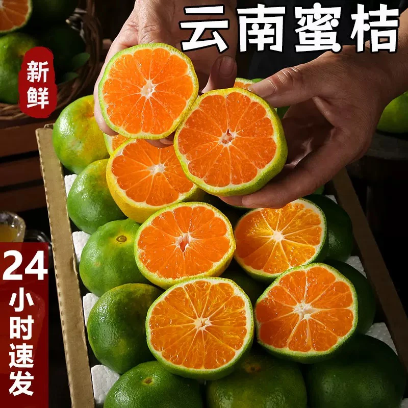 【云南蜜橘】云南青皮无籽蜜桔新鲜应季水果酸甜多汁适合孕妇
