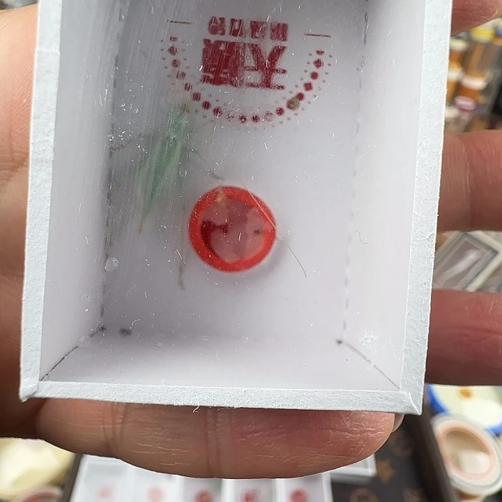 蟋蟀精品宽翅蓝竹蛉………………