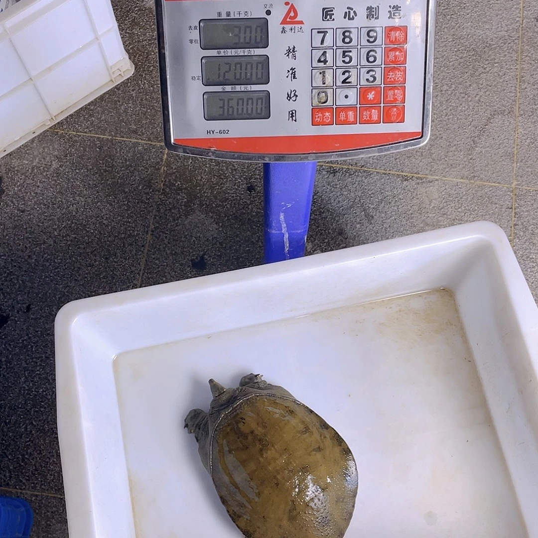 中国大陆4575476465467646