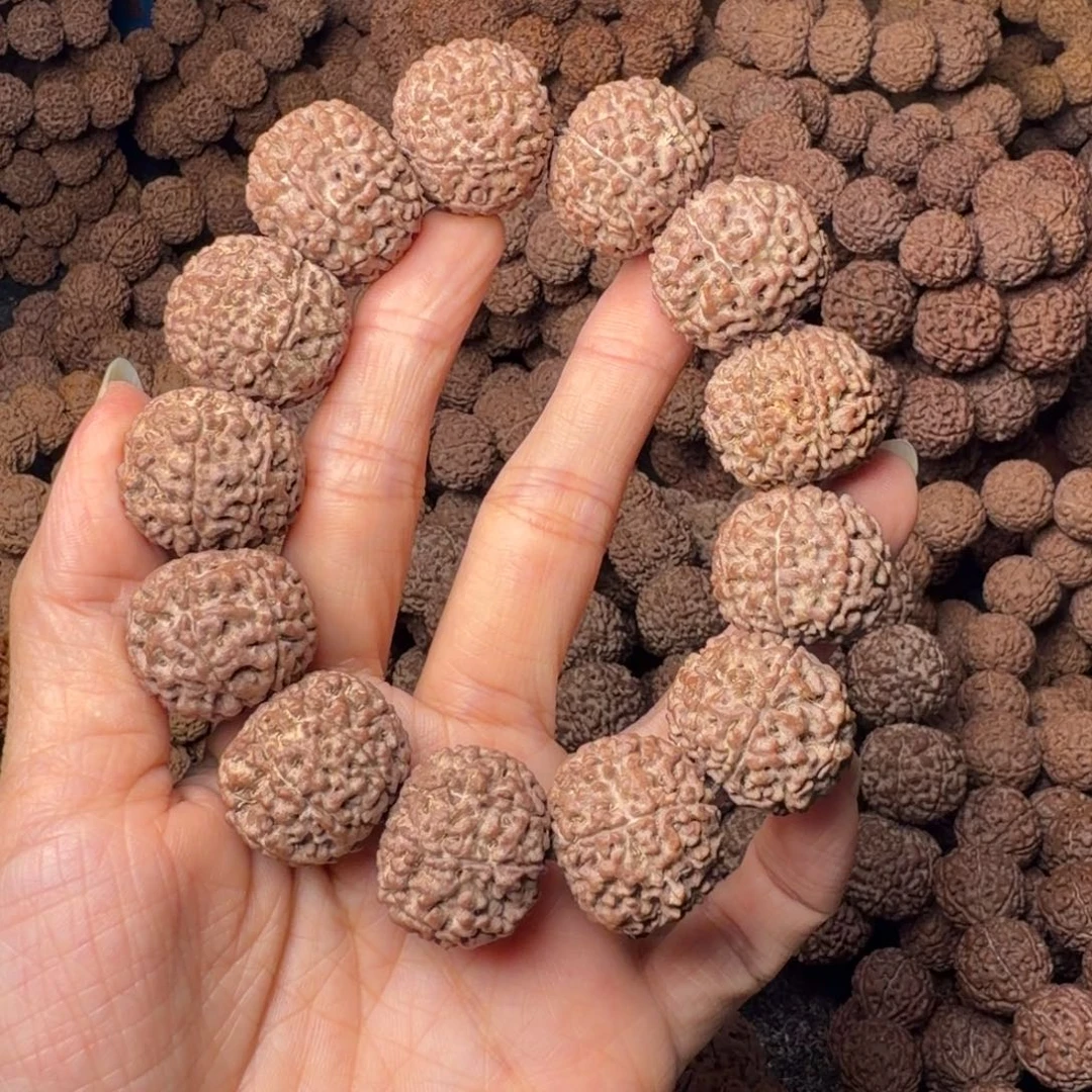 手串金刚菩提8瓣卡23尺，85号