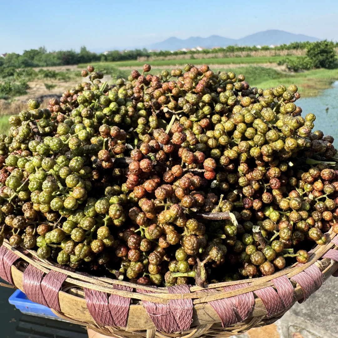 湖南常德本地特色新鲜花椒真空包装冷冻锁鲜顺丰