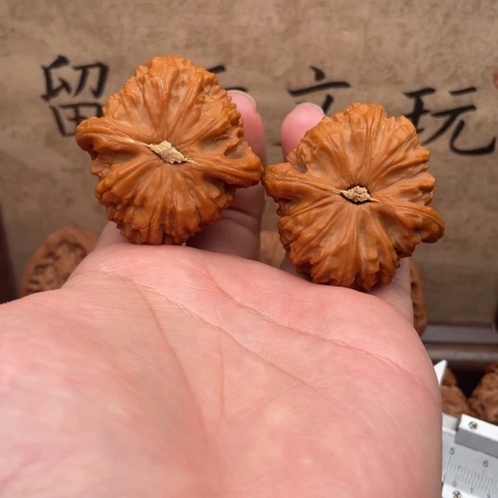 把件文玩核桃43白狮子