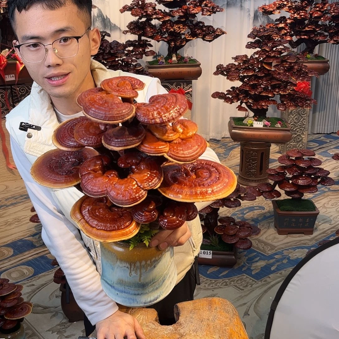 无花朵888888888888