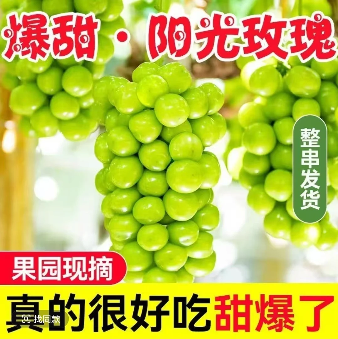 阳光玫瑰脆甜爆汁葡萄当季新鲜水果现摘子BY
