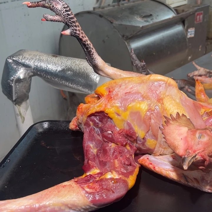 包装低温60天中国大陆金*