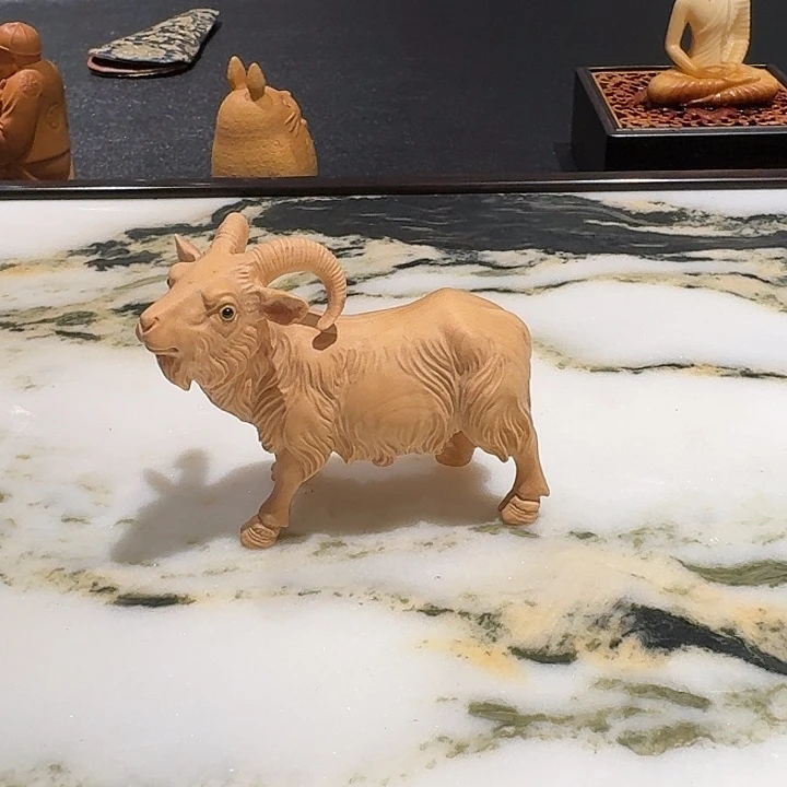 石***头木质小叶黄杨领头羊