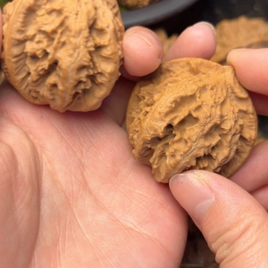 ****心文玩核桃把件秦岭核桃13