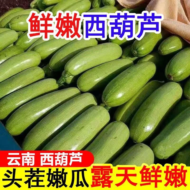 云南新鲜西葫芦带箱5斤农家露天种植应季鲜嫩蔬菜