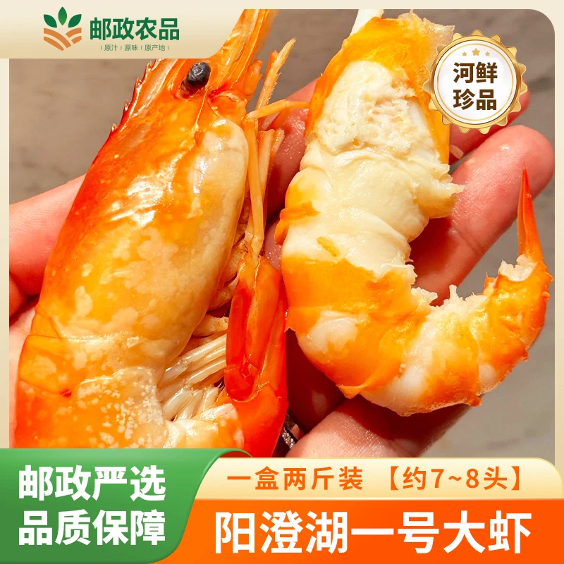 邮政农品 | 阳澄湖一号大虾 1000g/盒【约7~8头】礼盒装