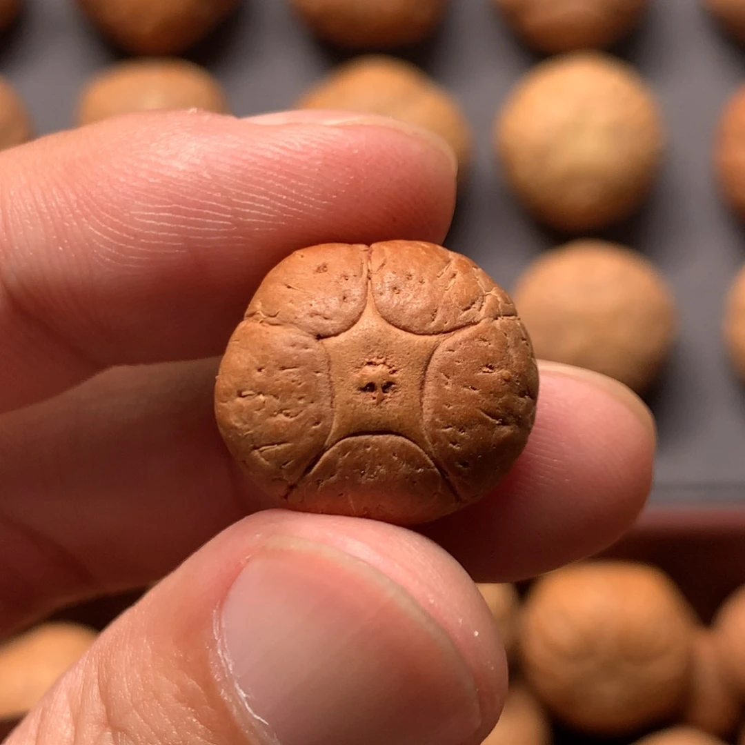 凤眼菩提吊坠18.1mm尼泊尔五星