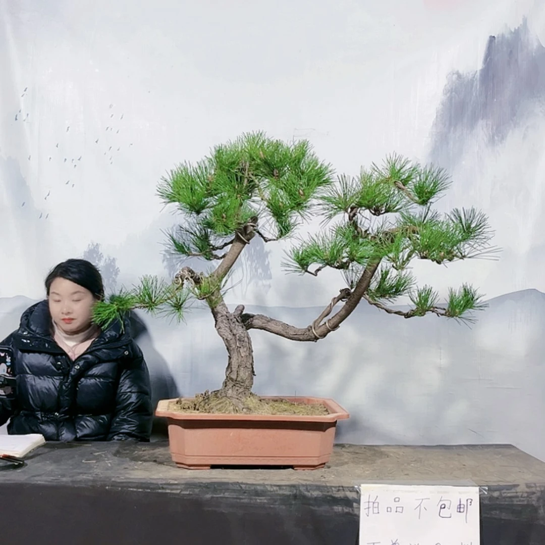 【闪购商品】无花朵运费到付