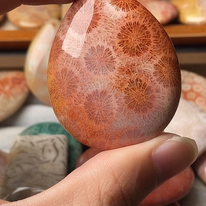 晴***儿硅化珊瑚未镶嵌颈饰