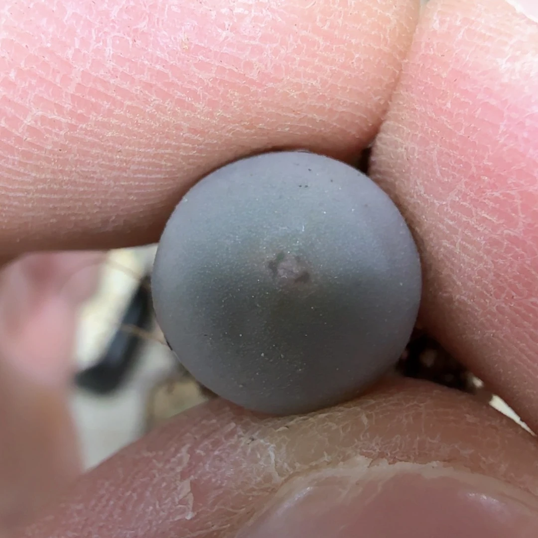 ?****?dy16 可可 sb1102