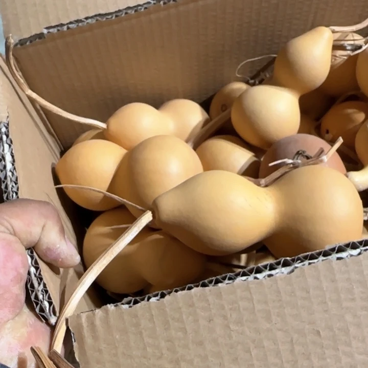 理*葫芦处理葫芦画皮葫芦