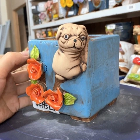 【闪购商品】