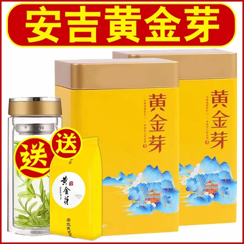 2025新茶正宗【黄金芽】浓香型黄金芽高山绿茶叶罐装礼盒装
