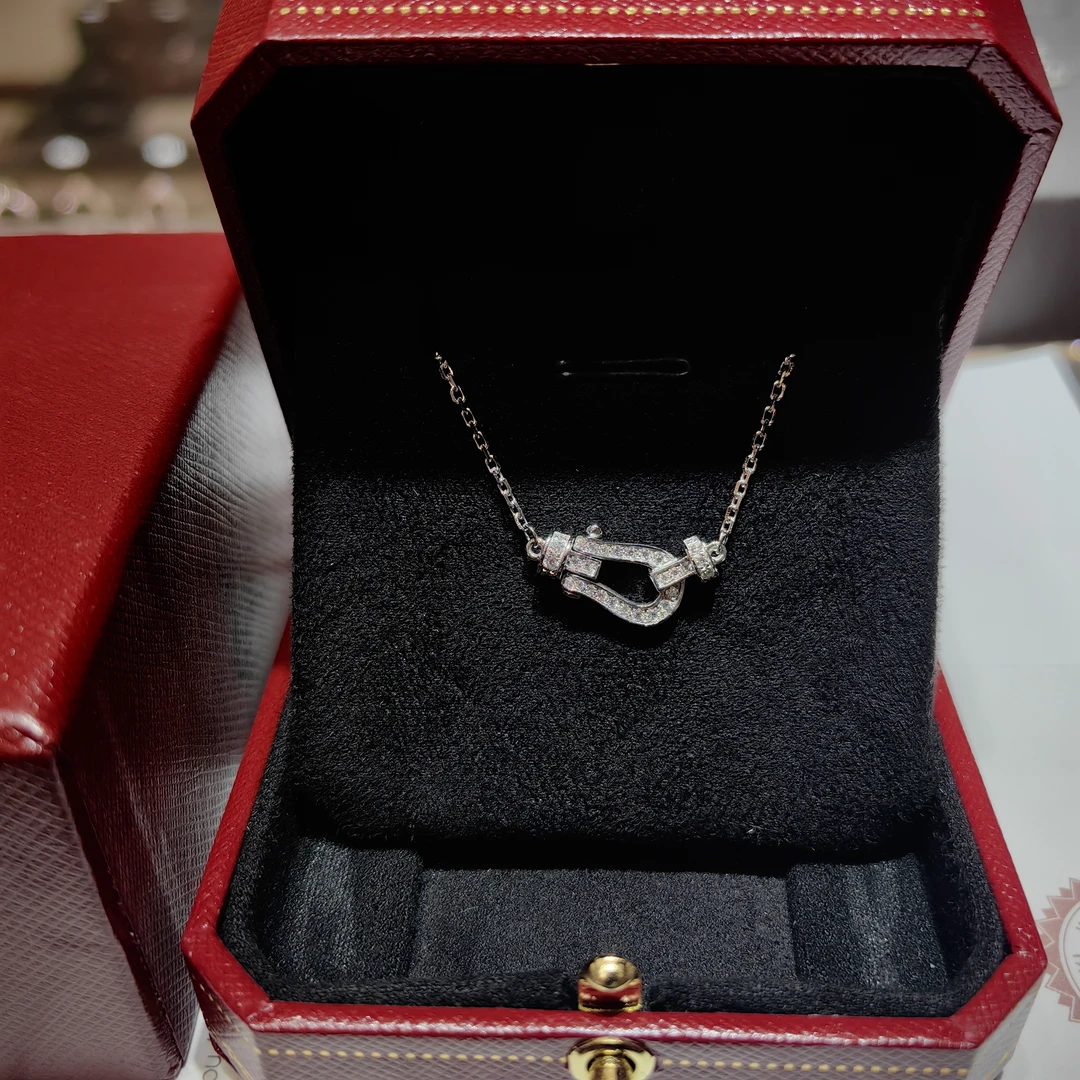 铂金 Pt950弗雷德马蹄莫桑项链