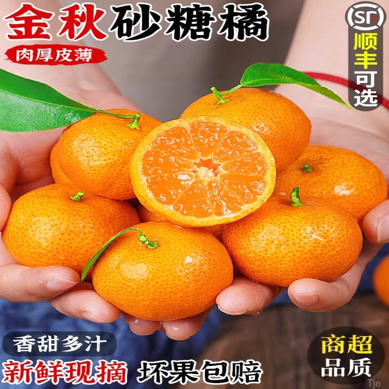 【顺丰生鲜】金秋沙糖桔橘子香甜绿色新鲜水果果王沙糖桔孕妇水果