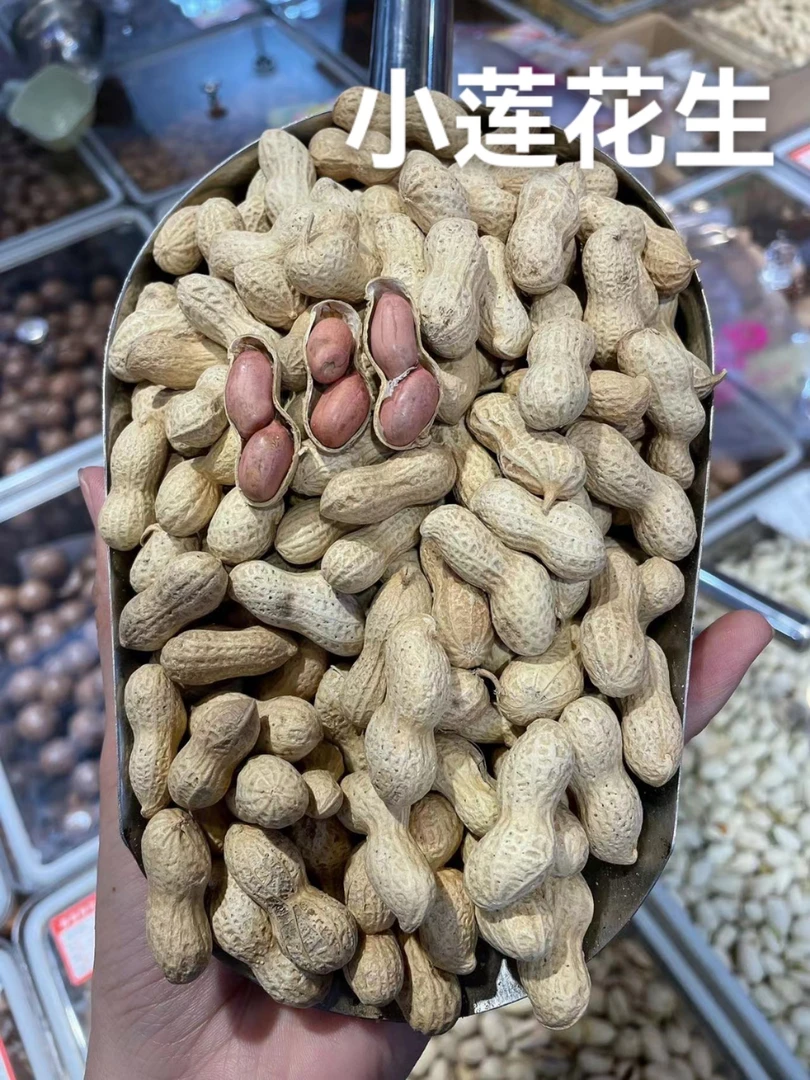 小莲花生颗粒饱满