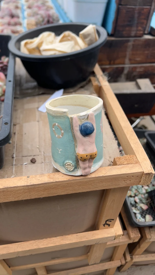 蛋总泳装花盆多肉植物