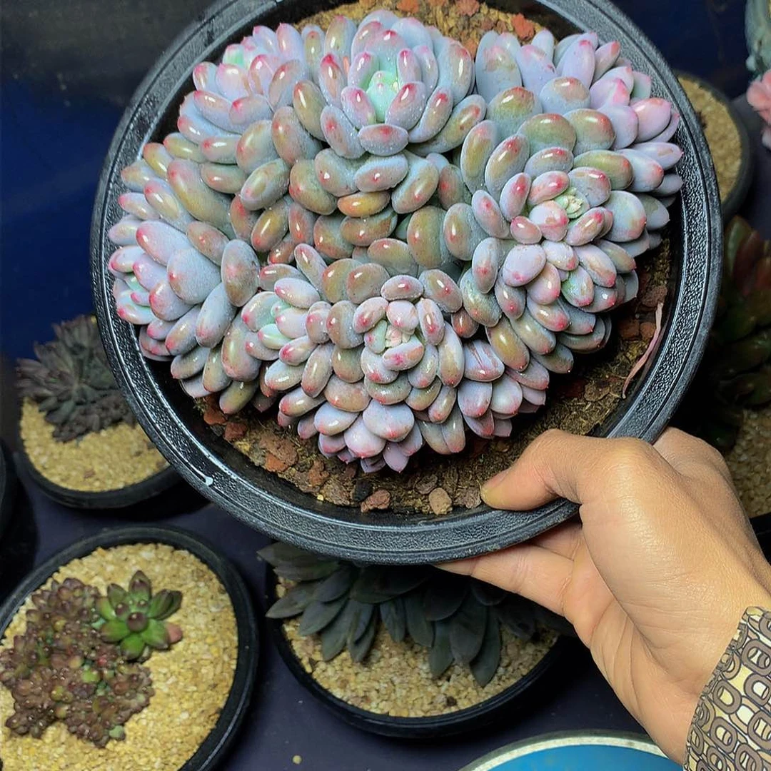 一**河哈哈哈哈哈哈哈哈