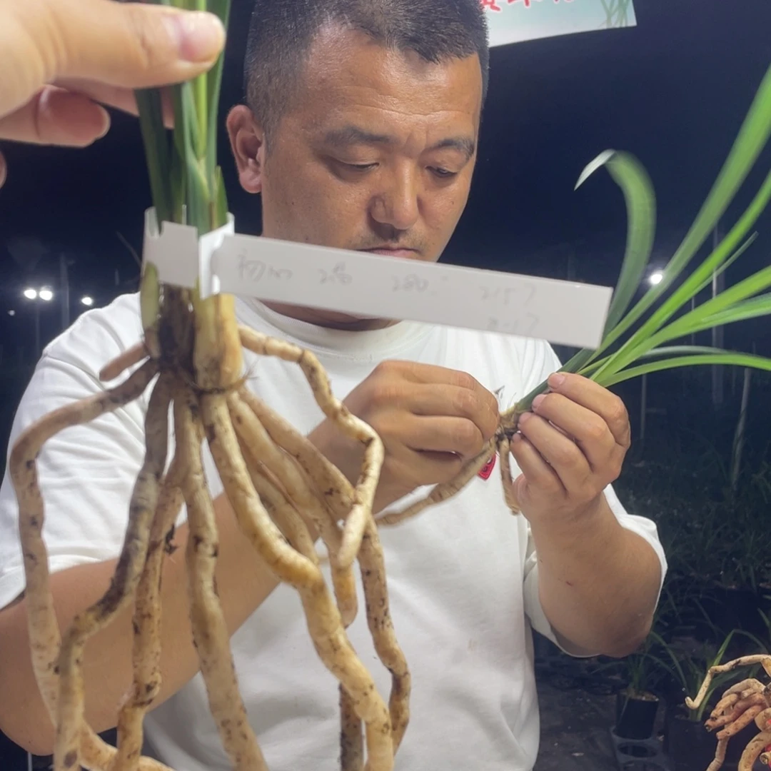 邢***邢完全开放初心寄养
