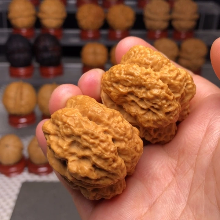 文玩核桃把件11霸王龙脊