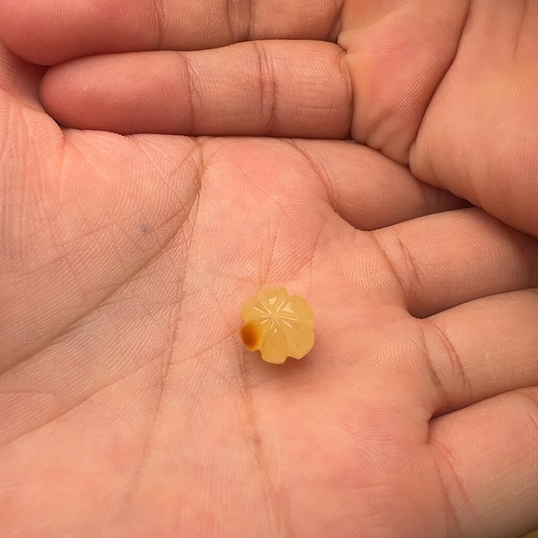 蜜蜡未镶嵌颈饰南瓜珠提溜