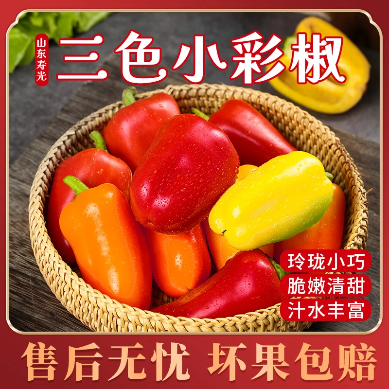 山东寿光三色小彩椒2斤