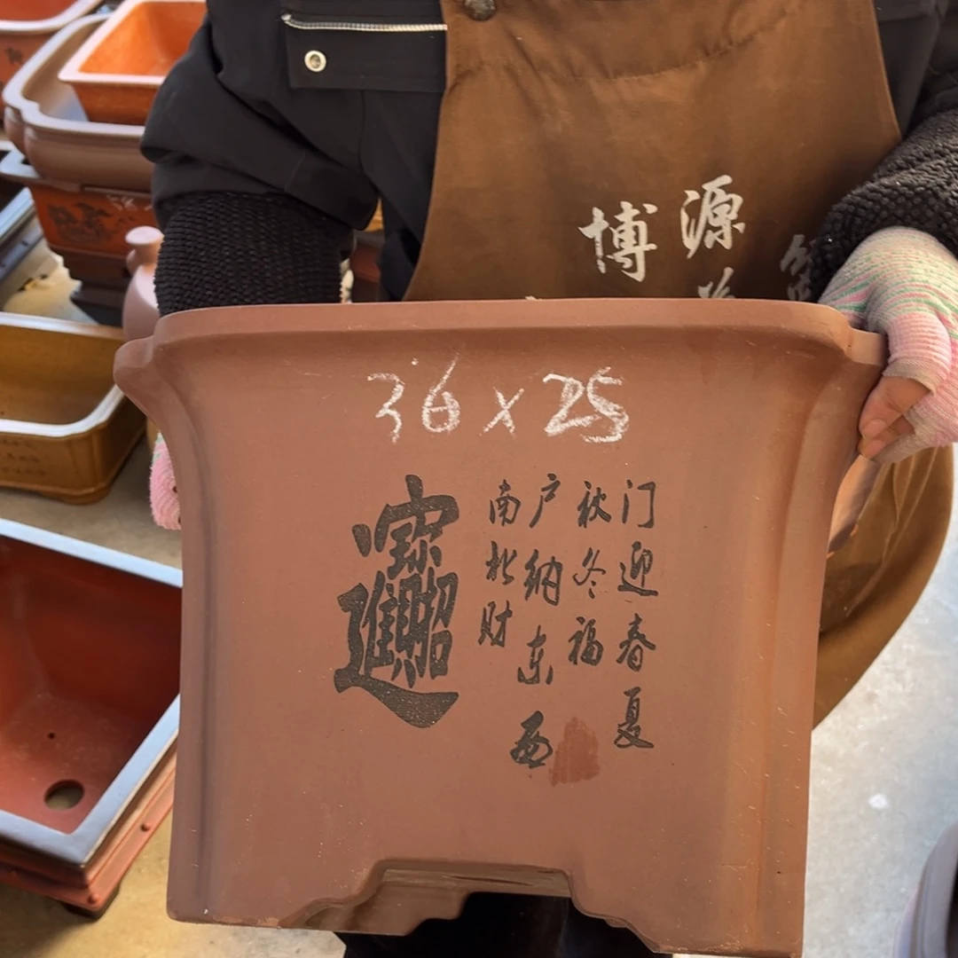 花盆紫砂盆景艺术