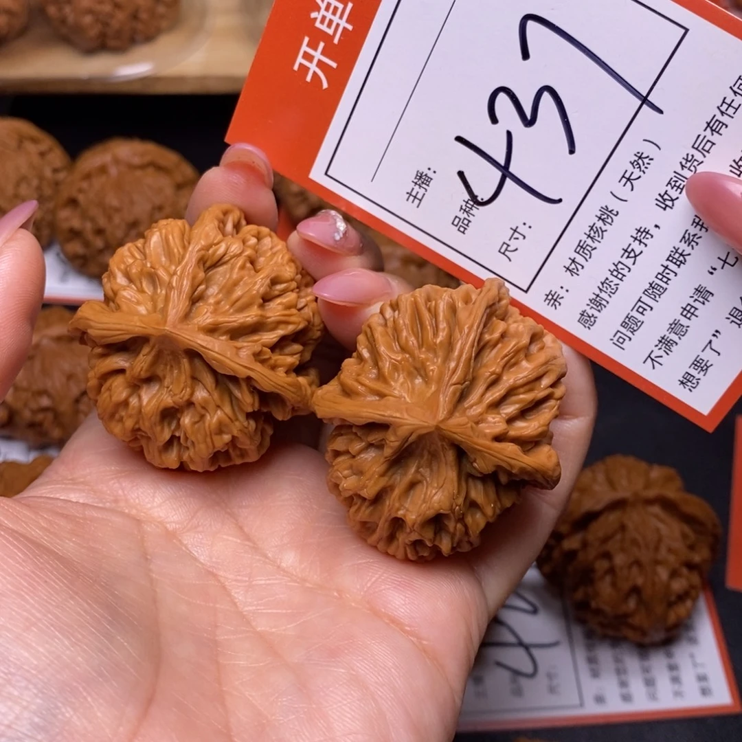 文玩核桃把件43帝王丁字437