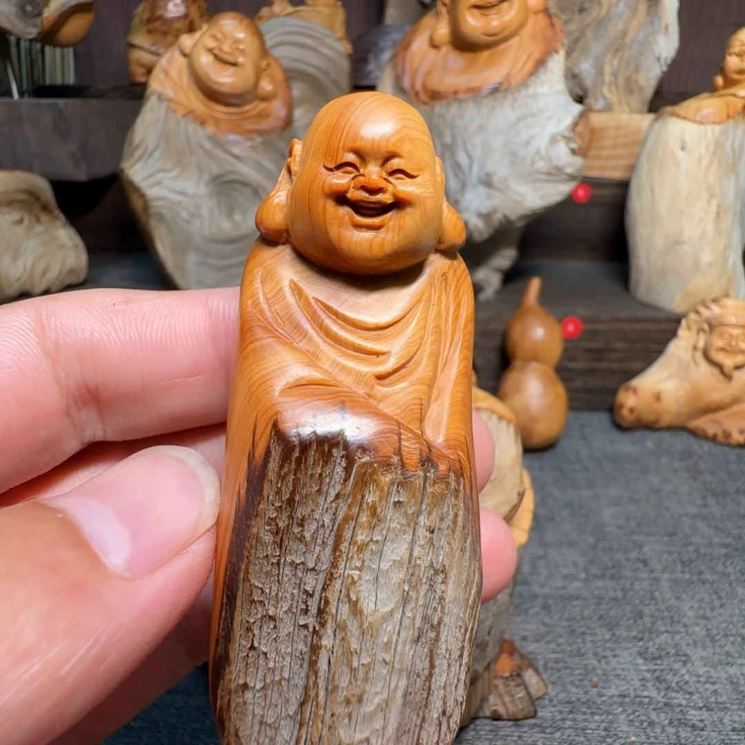 柏木（崖柏）我的小伙伴都在