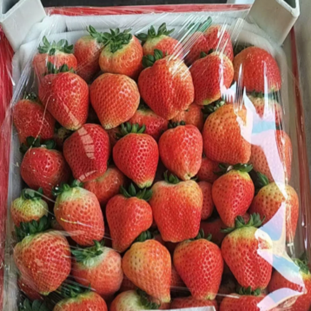 39.9两斤丹东草莓散装