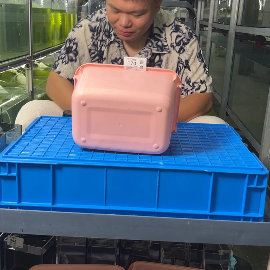 斗鱼包活不包损，所见即所得170